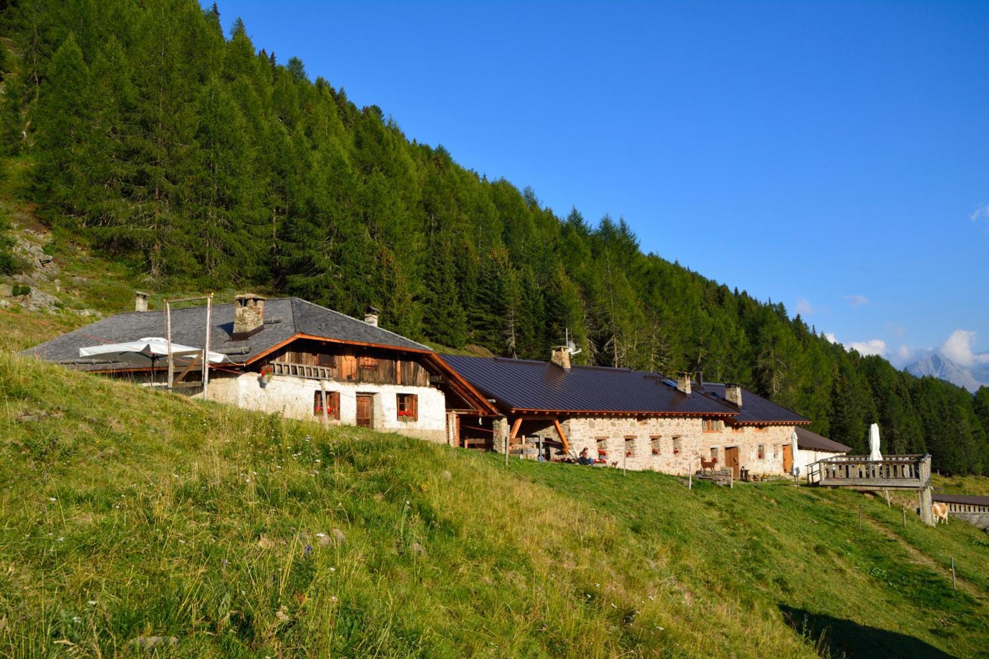 Nestalp Malga Campo Villa Peio Ngoại thất bức ảnh